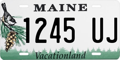 ME license plate 1245UJ