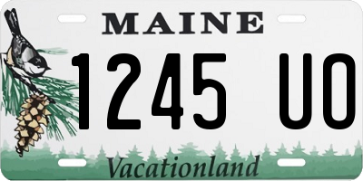 ME license plate 1245UO