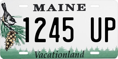 ME license plate 1245UP