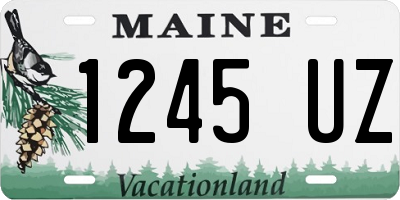 ME license plate 1245UZ