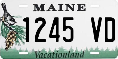 ME license plate 1245VD
