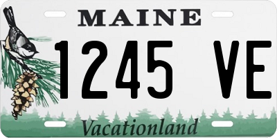 ME license plate 1245VE