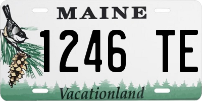 ME license plate 1246TE