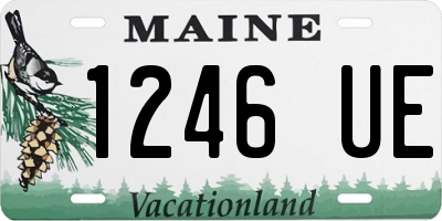 ME license plate 1246UE