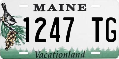 ME license plate 1247TG