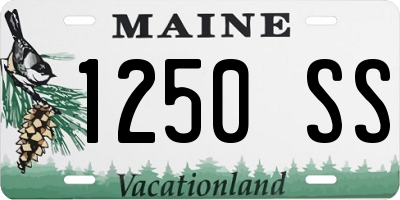 ME license plate 1250SS