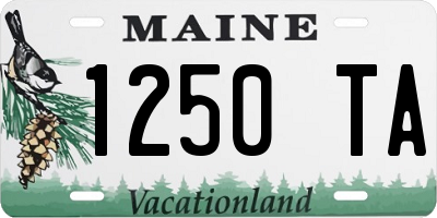 ME license plate 1250TA