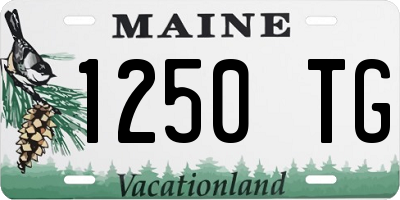 ME license plate 1250TG