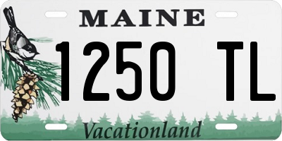 ME license plate 1250TL