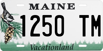 ME license plate 1250TM