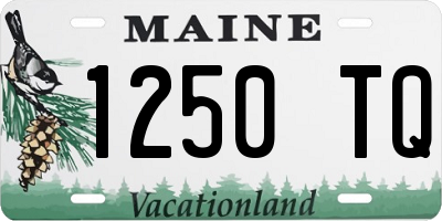 ME license plate 1250TQ