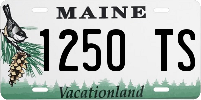 ME license plate 1250TS