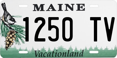 ME license plate 1250TV