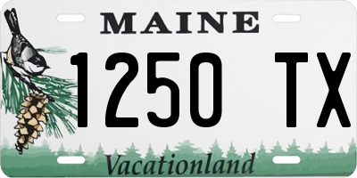 ME license plate 1250TX