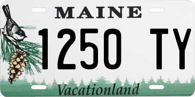 ME license plate 1250TY