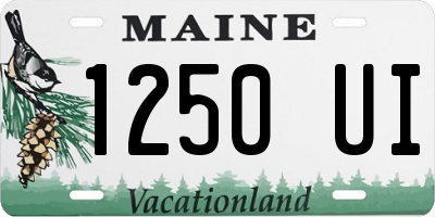 ME license plate 1250UI