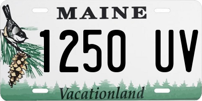 ME license plate 1250UV