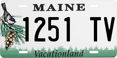 ME license plate 1251TV