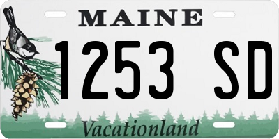 ME license plate 1253SD