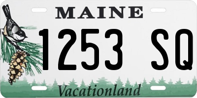 ME license plate 1253SQ