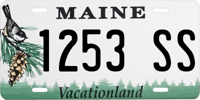 ME license plate 1253SS