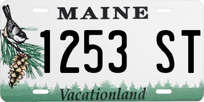 ME license plate 1253ST