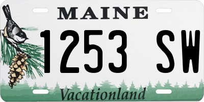 ME license plate 1253SW