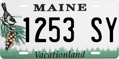 ME license plate 1253SY