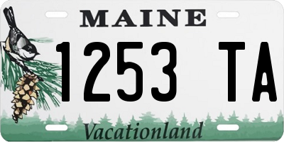 ME license plate 1253TA