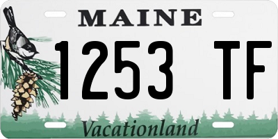 ME license plate 1253TF
