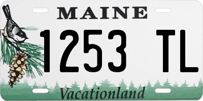 ME license plate 1253TL