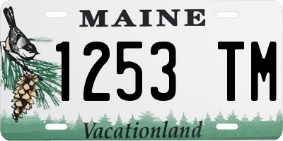 ME license plate 1253TM