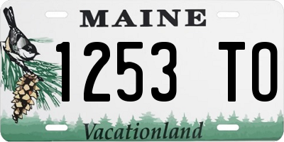 ME license plate 1253TO