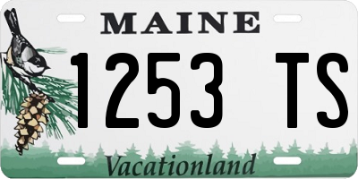 ME license plate 1253TS