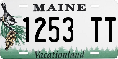 ME license plate 1253TT