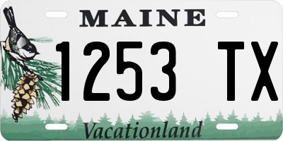 ME license plate 1253TX