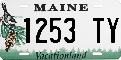 ME license plate 1253TY