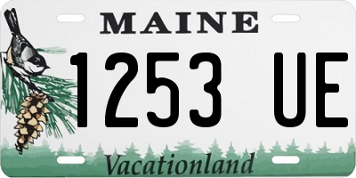 ME license plate 1253UE