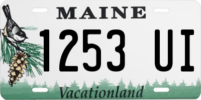 ME license plate 1253UI