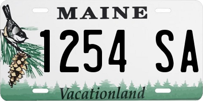 ME license plate 1254SA