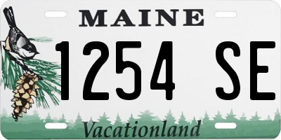 ME license plate 1254SE