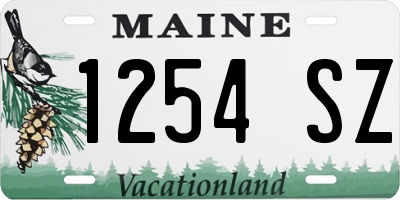 ME license plate 1254SZ
