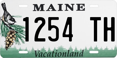 ME license plate 1254TH