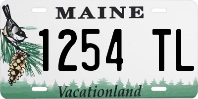 ME license plate 1254TL