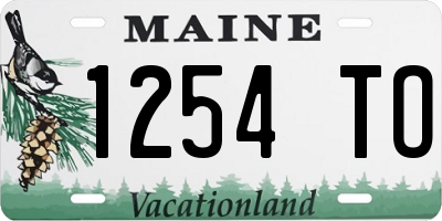ME license plate 1254TO
