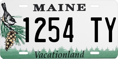 ME license plate 1254TY