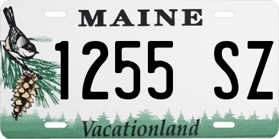 ME license plate 1255SZ