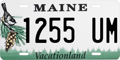 ME license plate 1255UM