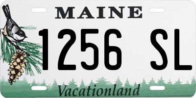 ME license plate 1256SL