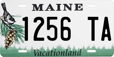 ME license plate 1256TA